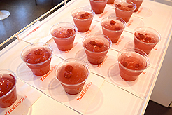 KNOLL CATWALK FASHION SHOW